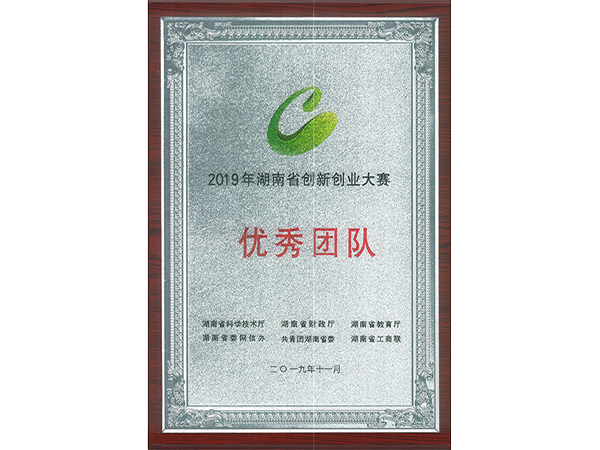 2019-湖南省创新创业大赛优秀团队
