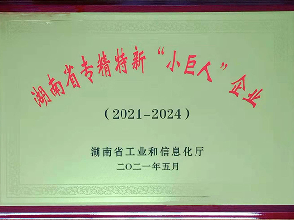 湖南省专精特新“小巨人”企业