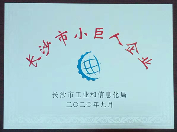 长沙市小巨人企业